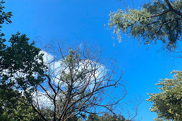 烏魯木齊道路積塵治理有妙招：動態(tài)監(jiān)測 聯(lián)合督導(dǎo)，助力空氣質(zhì)量改善