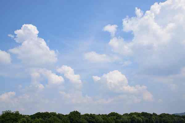 精準(zhǔn)“削峰”戰(zhàn)臭氧，全力守護“瓷都藍”