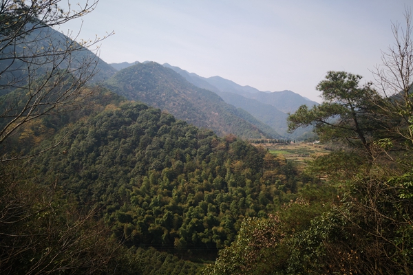 甘肅“五棋聯(lián)動”筑牢西部生態(tài)屏障，PM2.5平均濃度連續(xù)兩年同比下降