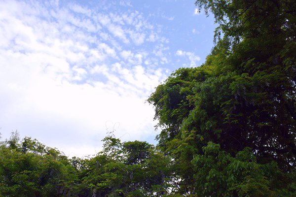 生態(tài)環(huán)境部部長黃潤秋出席甲烷與其他非二氧化碳溫室氣體峰會并會見外方高級代表