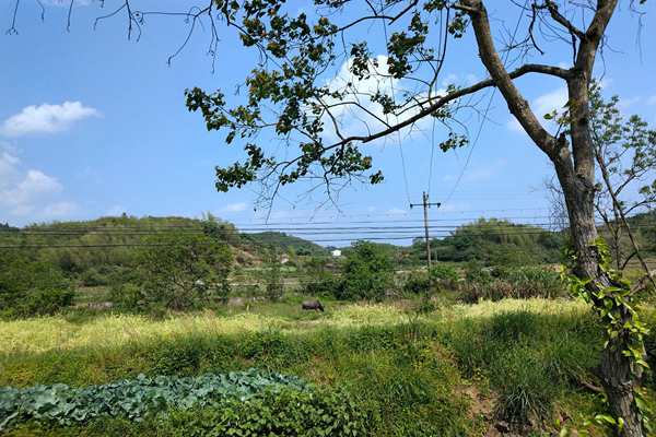 京津冀及周邊地區(qū)出現(xiàn)中至重度污染，多地啟動預(yù)警積極應(yīng)對