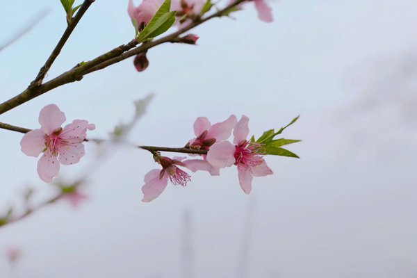 助企精準(zhǔn)治污降本增效，蘇州首個“炭管家”智慧平臺全面推廣
