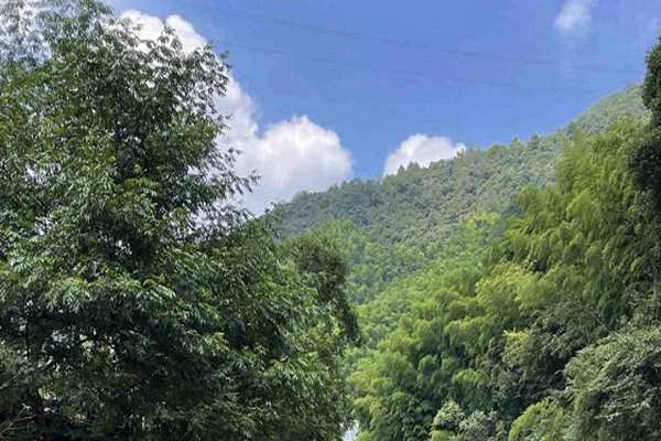 寧夏“十五五”規(guī)劃建議出爐 加快經(jīng)濟社會發(fā)展全面綠色轉(zhuǎn)型